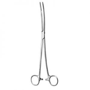 Sponge Forceps